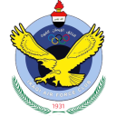 القوة الجوية