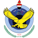 القوة الجوية